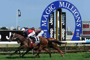 Magic-Millions-will-be-the-richest-race-day-in-Australia-1418944228_1352x900